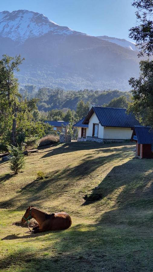 Cabanas & Aparts Lancuyen, Villa De Montana Villa La Angostura Kültér fotó