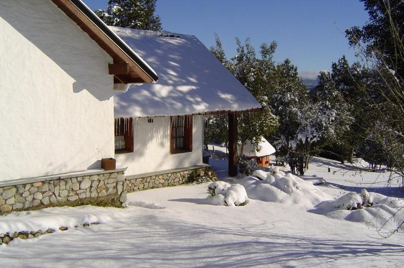 Cabanas & Aparts Lancuyen, Villa De Montana Villa La Angostura Szoba fotó